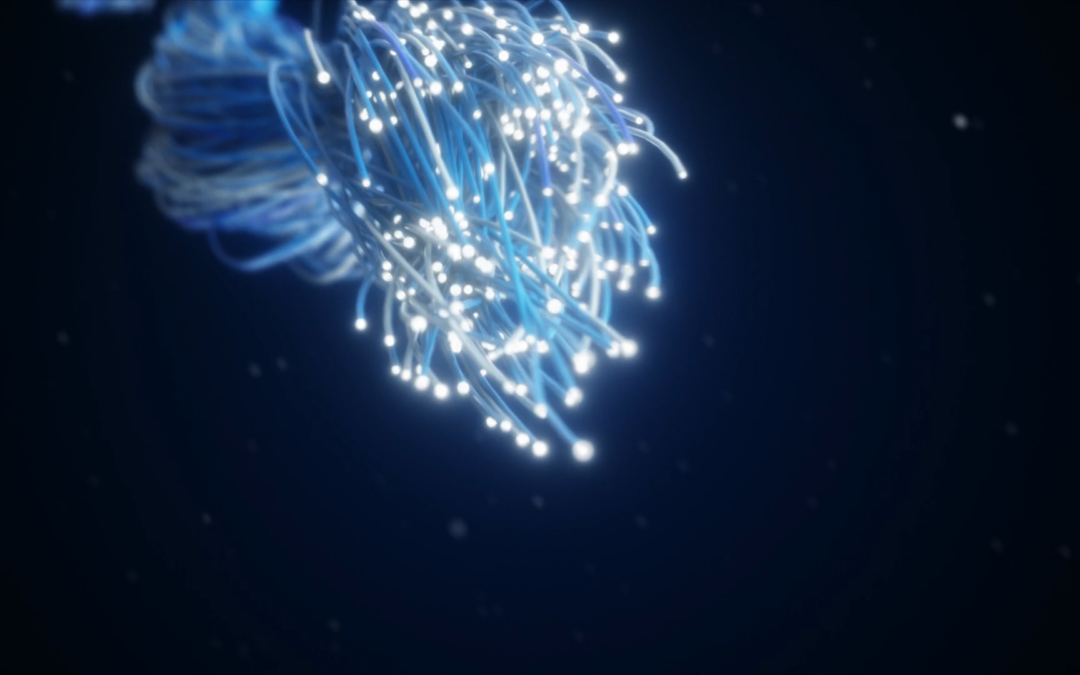 Cómo funciona internet: los cables submarinos que conectan al mundo